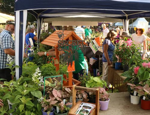 Collector’s Plant Fair