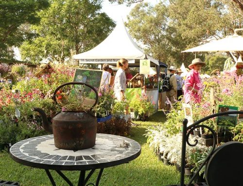 Collector’s Plant Fair 2021