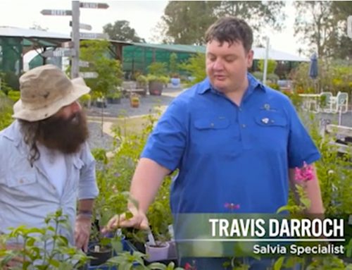 See us on Gardening Australia!